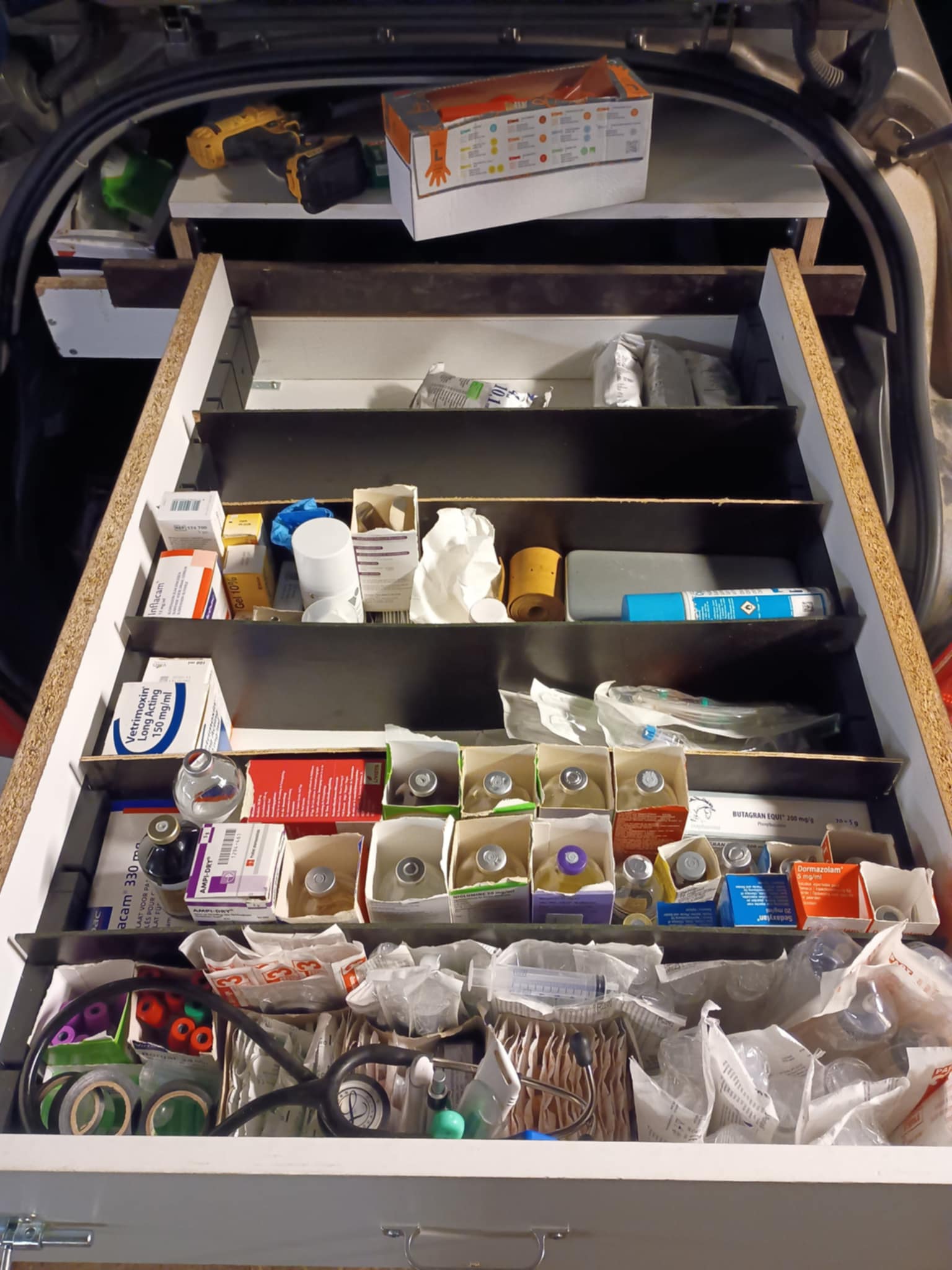 Veterinary car shelving